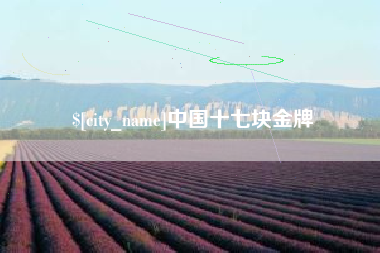 南阳中国十七块金牌