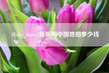 南阳新版的中国地图多少钱
