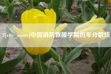 南阳中国消防救援学院历年分数线