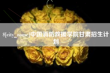 南阳中国消防救援学院甘肃招生计划