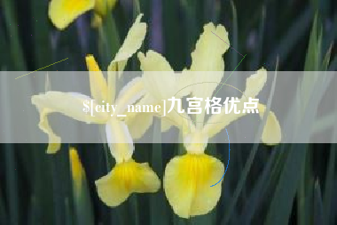 南阳九宫格优点
