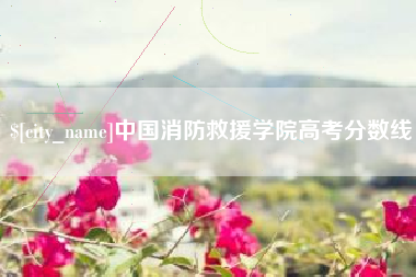 南阳中国消防救援学院高考分数线