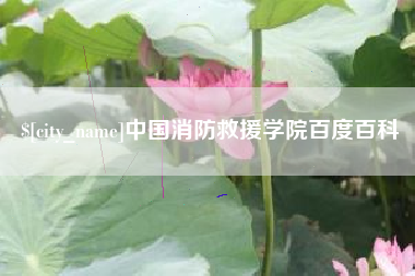 南阳中国消防救援学院百度百科