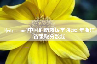 南阳中国消防救援学院2021年浙江省录取分数线