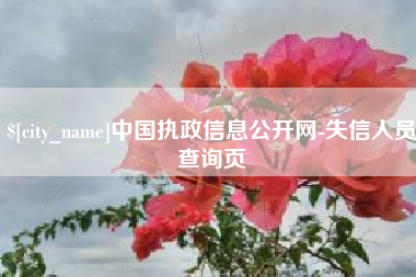 南阳中国执政信息公开网-失信人员查询页
