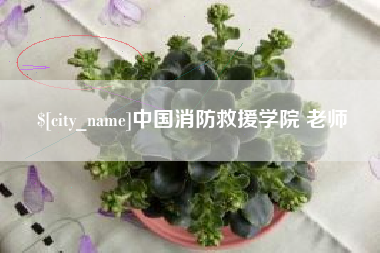 南阳中国消防救援学院 老师