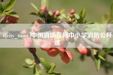 南阳中国消防官网中小学消防公开课
