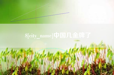南阳中国几金牌了