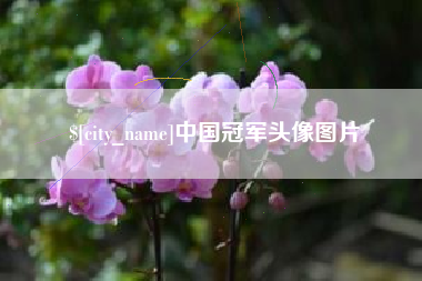 南阳中国冠军头像图片