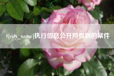 南阳执行信息公开网查到的案件