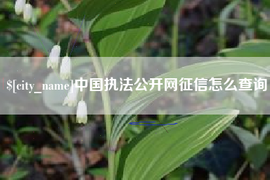 南阳中国执法公开网征信怎么查询