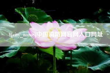 南阳中国消防网官网入口网址