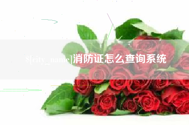 南阳消防证怎么查询系统