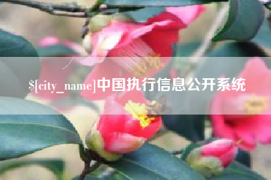 南阳中国执行信息公开系统