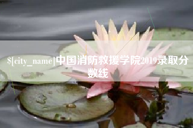南阳中国消防救援学院2019录取分数线
