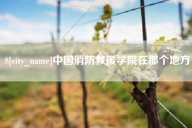 南阳中国消防救援学院在那个地方