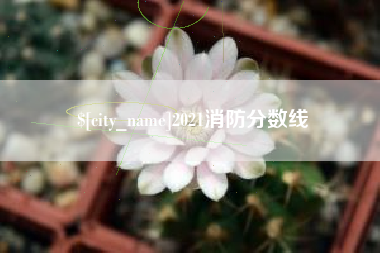南阳2021消防分数线