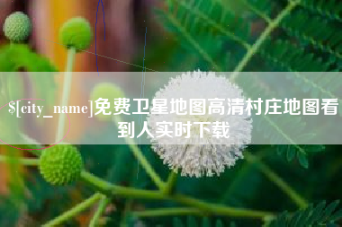 南阳免费卫星地图高清村庄地图看到人实时下载