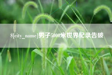 南阳男子5000米世界纪录告破