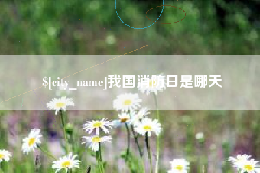 南阳我国消防日是哪天