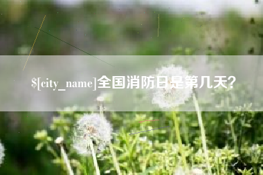 南阳全国消防日是第几天？
