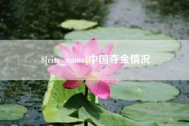 南阳中国夺金情况