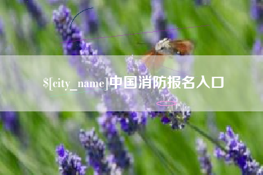 南阳中国消防报名入口