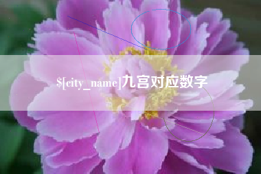 南阳九宫对应数字