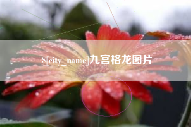 南阳九宫格龙图片