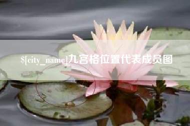 南阳九宫格位置代表成员图