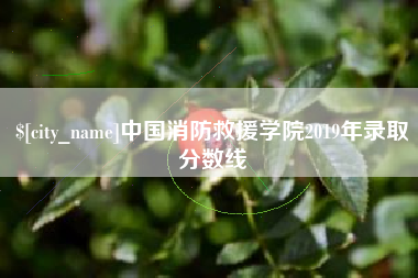 南阳中国消防救援学院2019年录取分数线