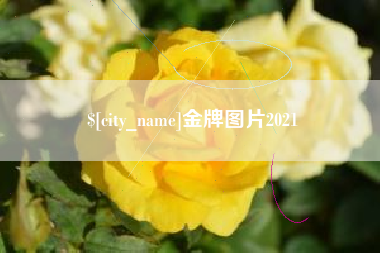 南阳金牌图片2021