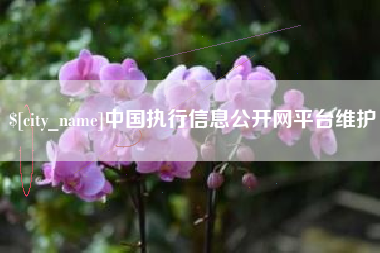 南阳中国执行信息公开网平台维护