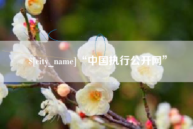 南阳“中国执行公开网”