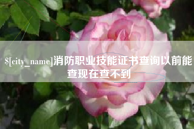 南阳消防职业技能证书查询以前能查现在查不到