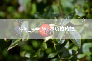 南阳5000米及格成绩