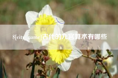 南阳古代的九宫算术有哪些