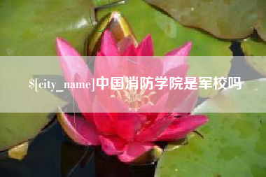 南阳中国消防学院是军校吗