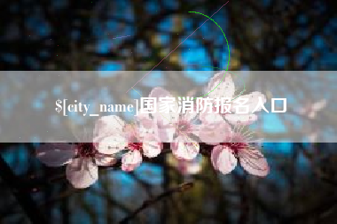 南阳国家消防报名入口