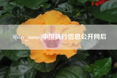 南阳中国执行信息公开网后
