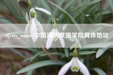 南阳中国消防救援学院具体地址