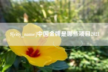 南阳中国金牌是哪些项目2021