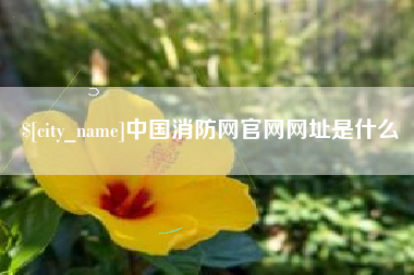 南阳中国消防网官网网址是什么