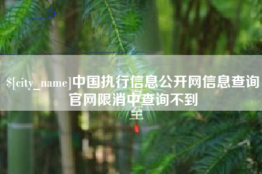南阳中国执行信息公开网信息查询官网限消中查询不到