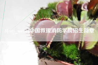 南阳中国救援消防学院招生简章