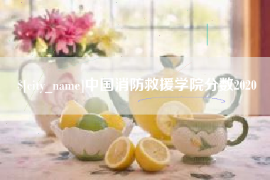南阳中国消防救援学院分数2020