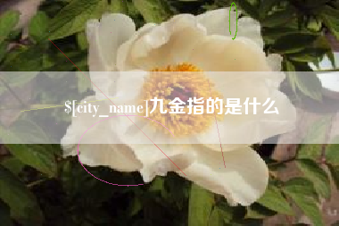 南阳九金指的是什么