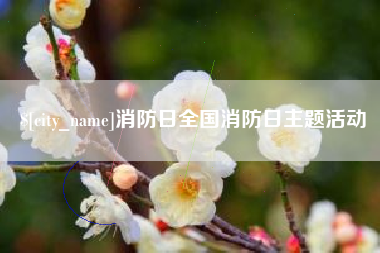 南阳消防日全国消防日主题活动