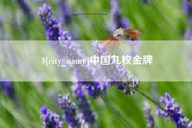 南阳中国九枚金牌