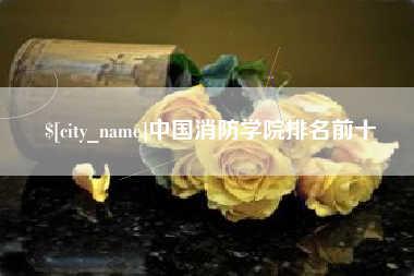 南阳中国消防学院排名前十